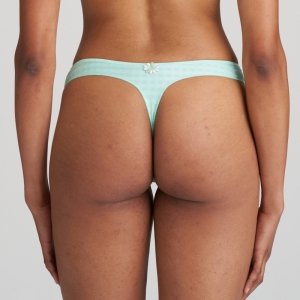 AVERO MIA Miami mint