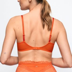 CERINA CLM clementine