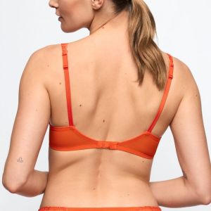 CERINA CLM clementine